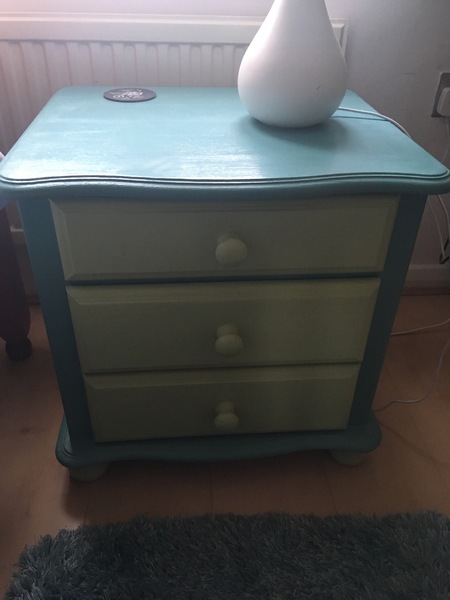 Has anyone successfully painted their furniture?