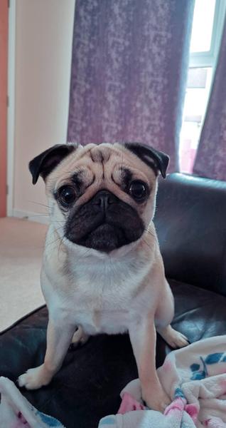 It's not summer yet, but we are on cancer support thread 69. Join us if you've got cancer or are having cancer-related tests.