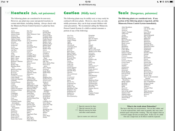 Help! My toddler has eaten a crocus flower!