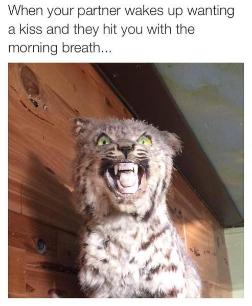 Please share your funny memes or pictures.