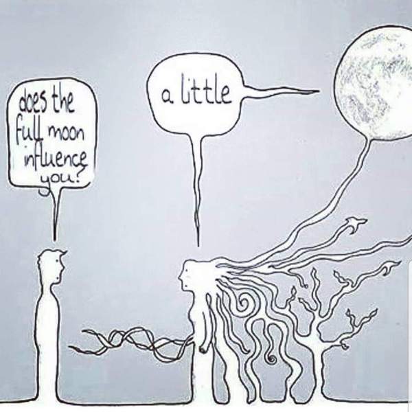 Any Witches Here? Part 6