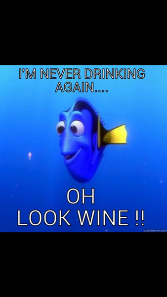 Please share your funny memes or pictures.