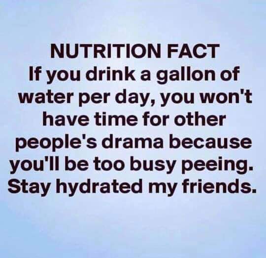 Week 6 - Low Carb Bootcamp - it's all downhill from here!