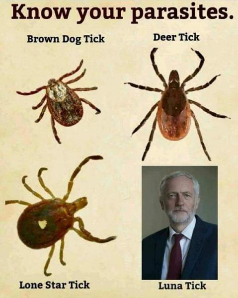 Please share your funny memes or pictures.