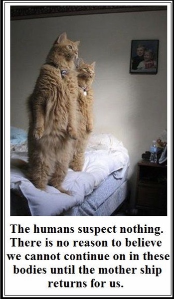 Please share your funny memes or pictures.