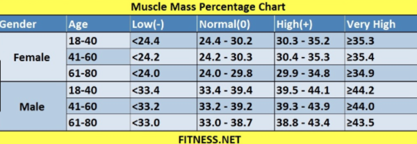 How much weight does muscle gain you?