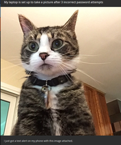 Please share your funny memes or pictures.