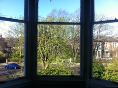 To trim neighbours trees against their wishes?