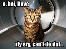 Please share your funny memes or pictures.