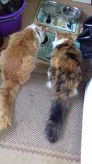 I just walked in on a threesome!