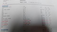 Thank you to those who helped previously. Anyone fancy a gander at some blood results?