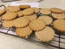 Remainers will be responsible for a no deal Brexit