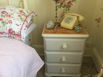 Has anyone successfully painted their furniture?