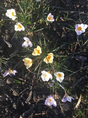 Any Witches Here? Part 6