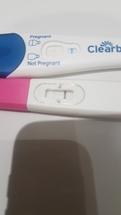 Fertile Feb!