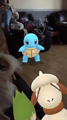 So Treecko, he’s gotta be so Treecko! Pokemon Go #23