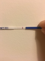 10DPO - BFN this morning, maybe a line this evening🤔