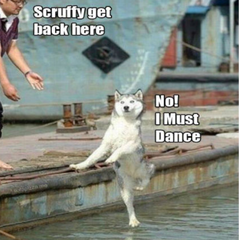 Please share your funny memes or pictures.