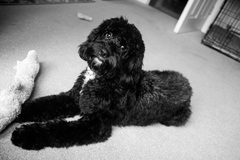 It's not summer yet, but we are on cancer support thread 69. Join us if you've got cancer or are having cancer-related tests.