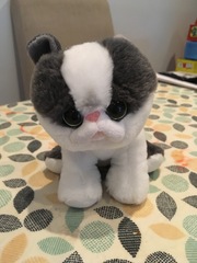 Straw poll - is this a dog or a cat?