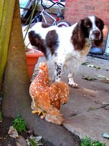 To think this cafe needs to rethink their message to customers?