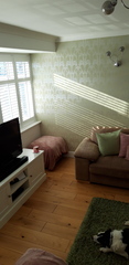 Show me your green living room/lounge