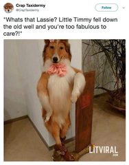 Please share your funny memes or pictures.