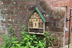 To ask you to help the bees? 🐝