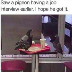 Please share your funny memes or pictures.