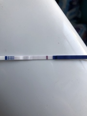 Faint line on cheapie but BFN on FRER