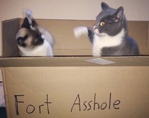 Please share your funny memes or pictures.