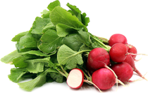Eating radishes when pregnant? Panicked.. oh my