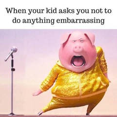 Please share your funny memes or pictures.