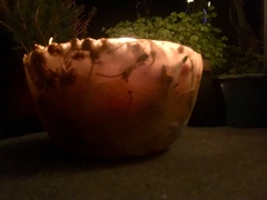 Any Witches Here? Part 6