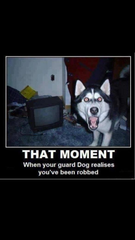 Please share your funny memes or pictures.