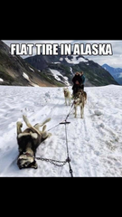 Please share your funny memes or pictures.