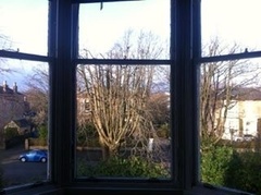 To trim neighbours trees against their wishes?