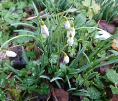 Any Witches Here? Part 6