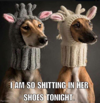 Please share your funny memes or pictures.