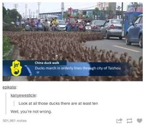 Please share your funny memes or pictures.