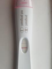 Due November 2019