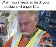 Please share your funny memes or pictures.