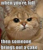 Please share your funny memes or pictures.