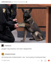 Please share your funny memes or pictures.