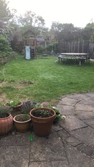 Advice on my garden please