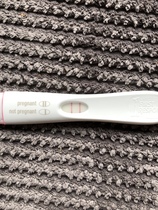 Due November 2019