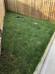 What can I do with this really ugly patch of garden (pics)