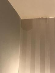 Damp patch outside wall???