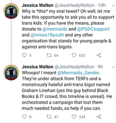 Recording of Mermaids training