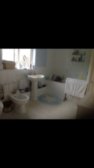 Carpet in bathrooms?!?!?